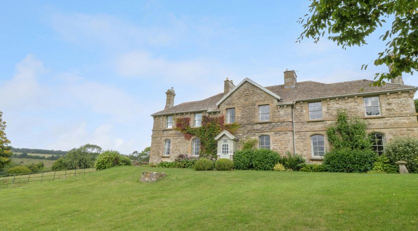 Photo of Bluebells in Spring
