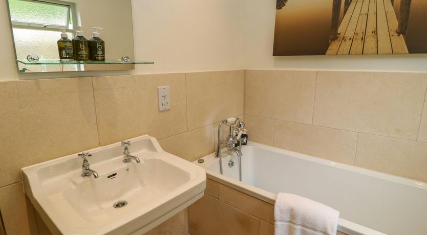 Photo of Bluebells in Spring