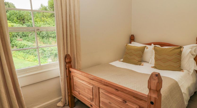 Photo of Bluebells in Spring