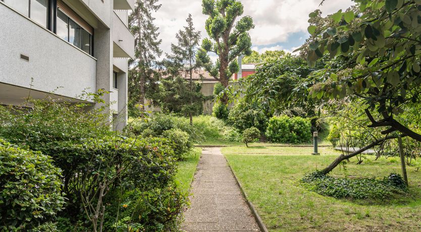 Photo of Silver Gleam