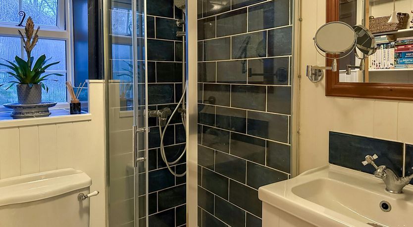 Photo of The Apple Tree