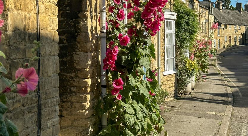 Photo of The Apple Tree