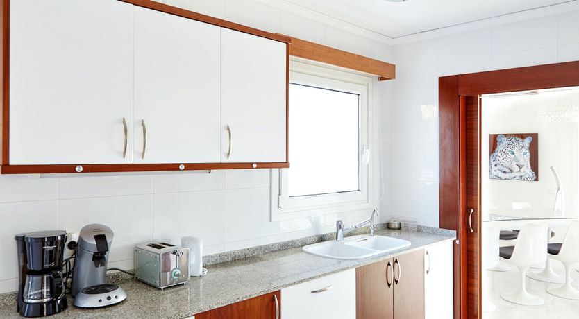 Photo of White Tiger