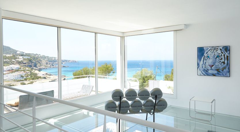 Photo of White Tiger