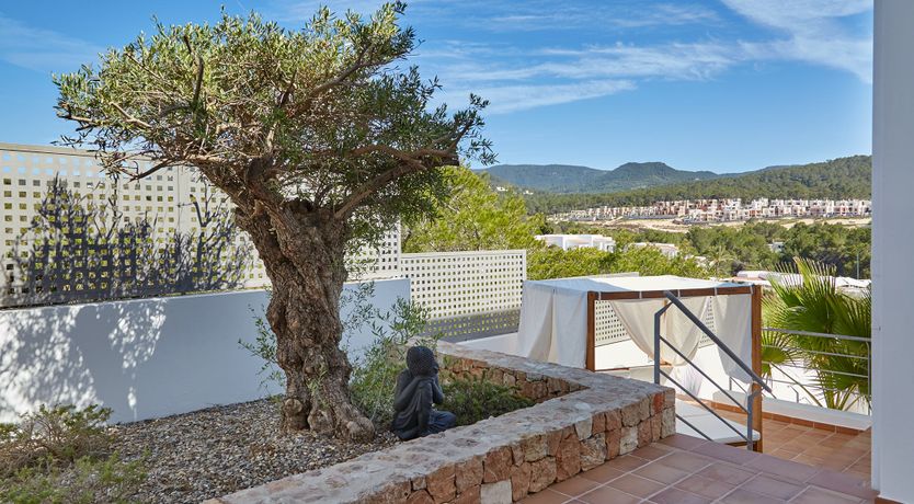 Photo of White Tiger