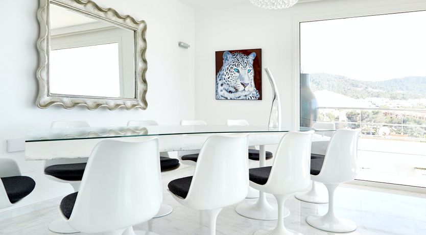 Photo of White Tiger