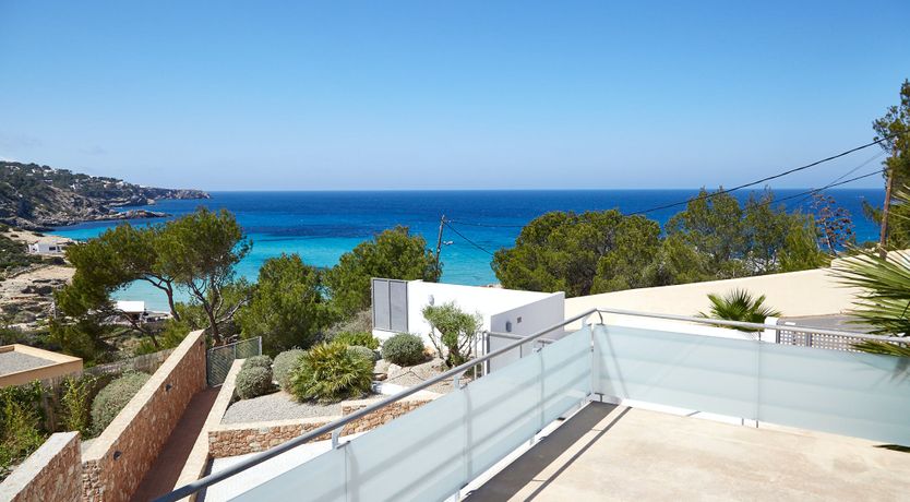 Photo of White Tiger