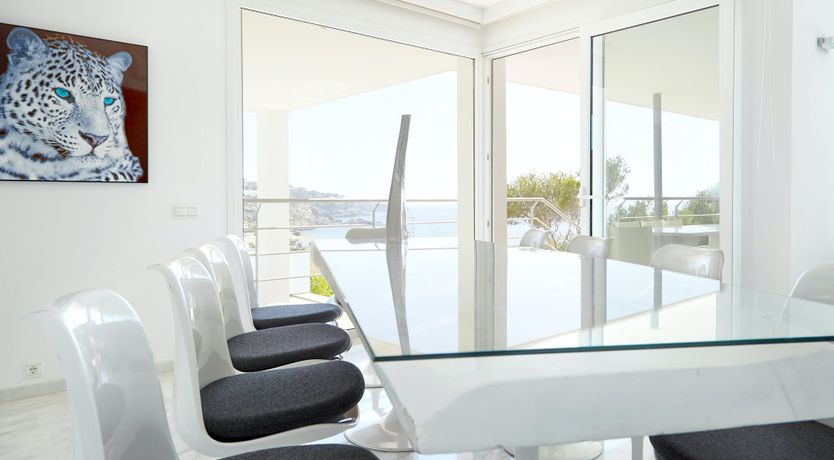 Photo of White Tiger