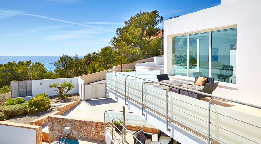 Photo of White Tiger