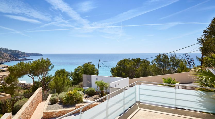 Photo of White Tiger