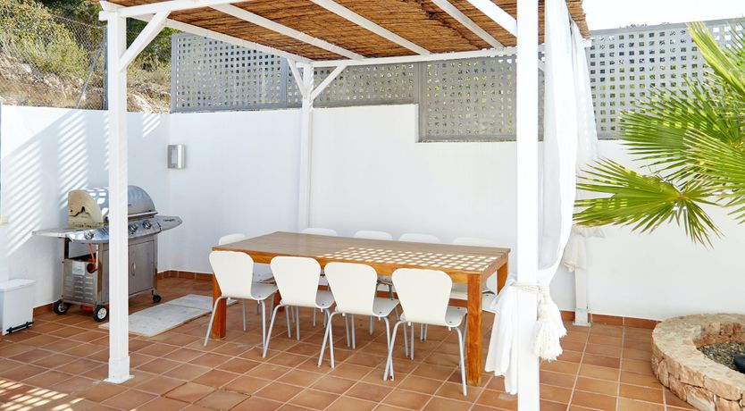 Photo of White Tiger