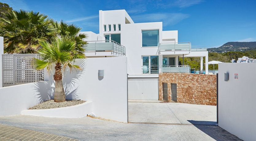 Photo of White Tiger