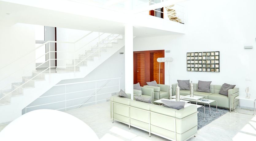 Photo of White Tiger