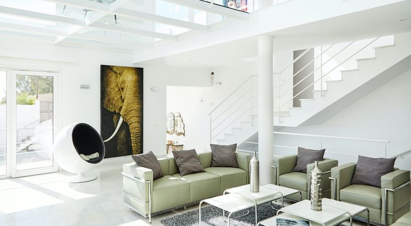 Photo of White Tiger