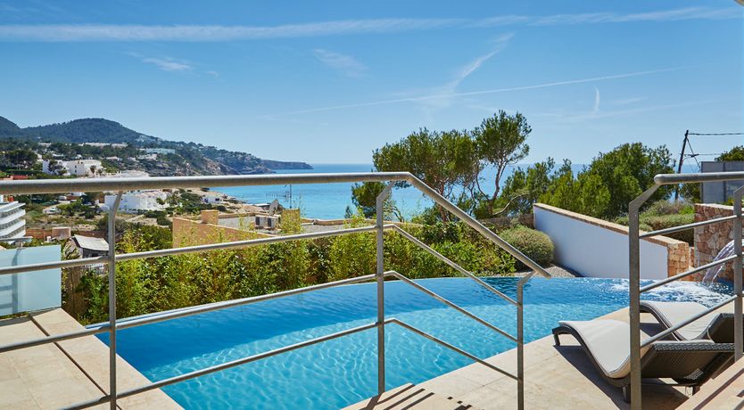 Photo of White Tiger