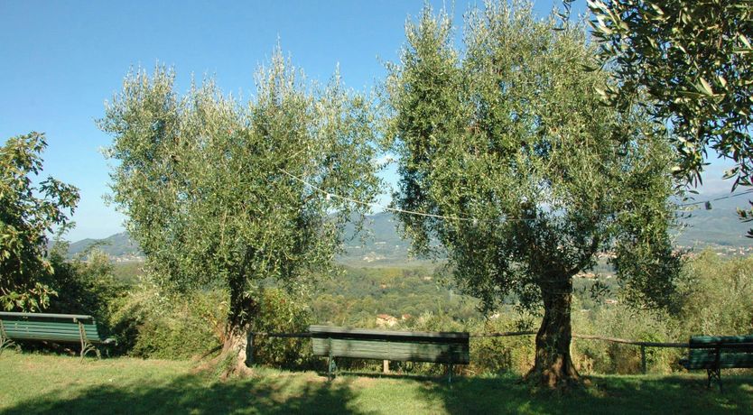 Photo of The Hills of Lucca
