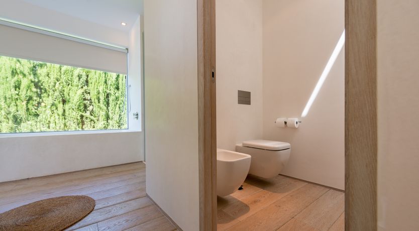 Photo of Sunlight Solstice