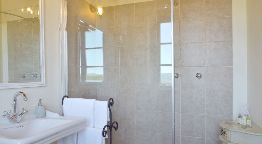 Photo of The Moonlight Dream