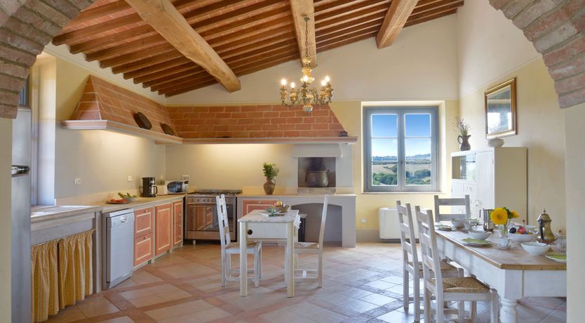 Photo of The Moonlight Dream