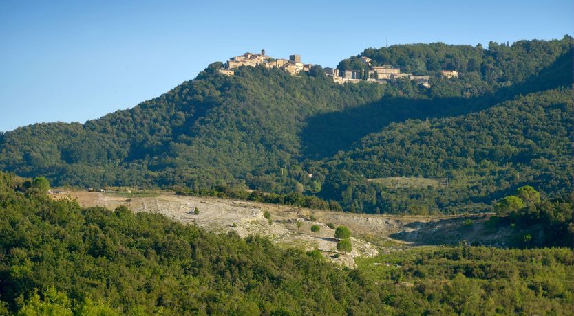 Photo of The Moonlight Dream