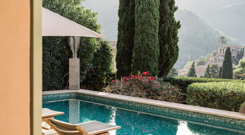 Photo of Peach Sunlight