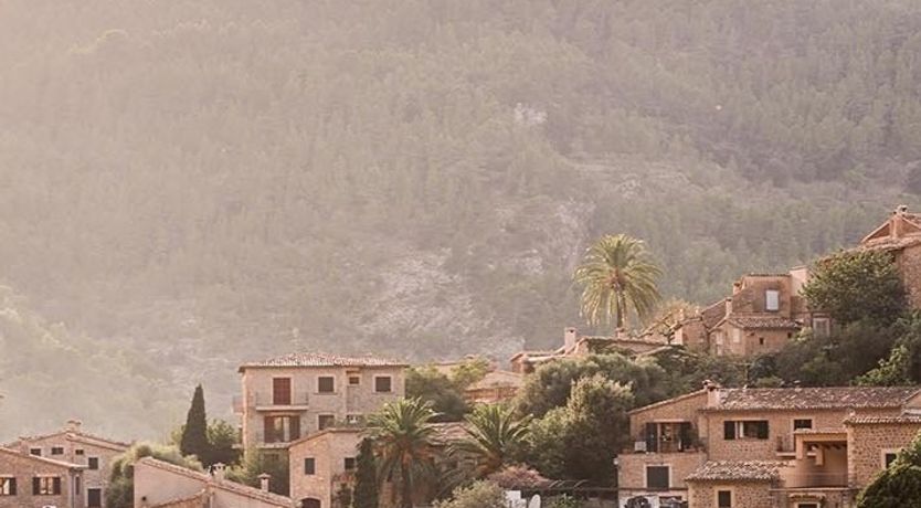 Photo of Peach Sunlight