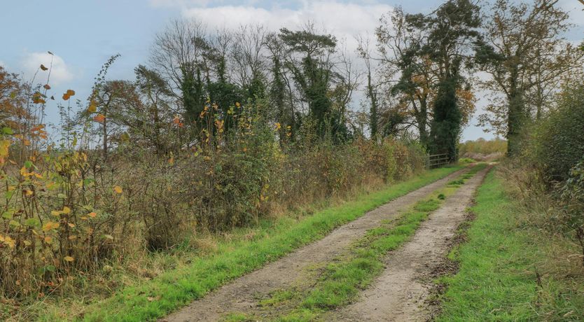 Photo of Summer Thyme