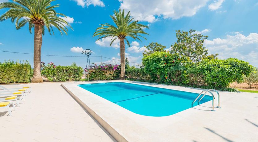 Photo of Sensual Sunlight