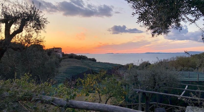 Photo of Sorrentine Sun