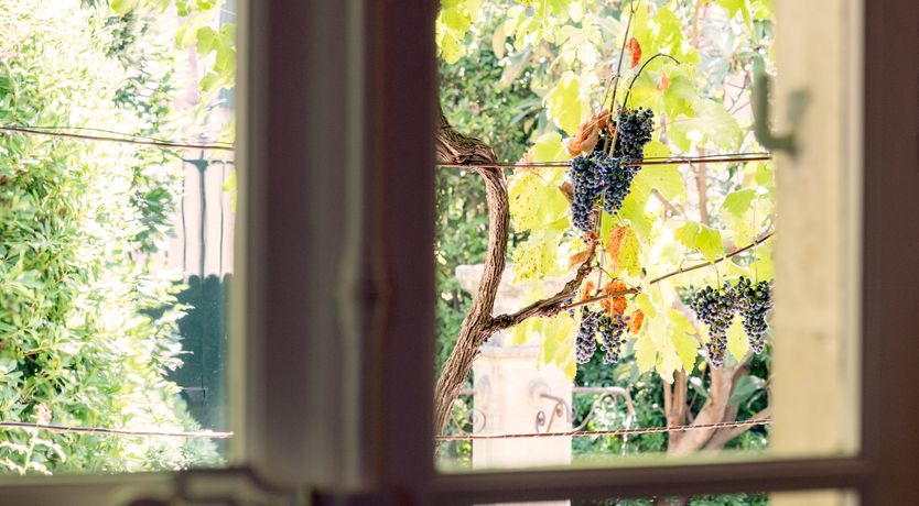 Photo of The Provençal Hideaway