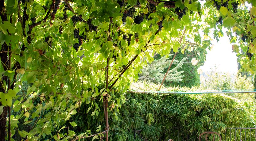 Photo of The Provençal Hideaway