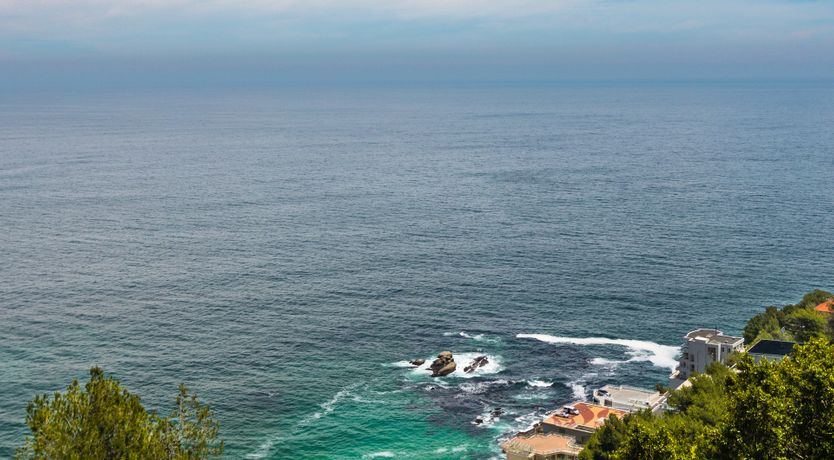 Photo of Strikingly Handsome