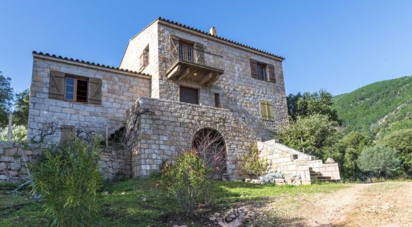 Photo of Casa Gialla