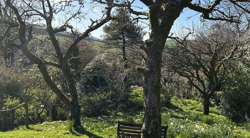 Photo of Hare and Hounds, Exton