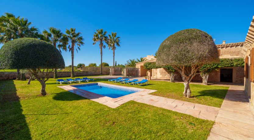 Photo of Es Palmer des Trenc