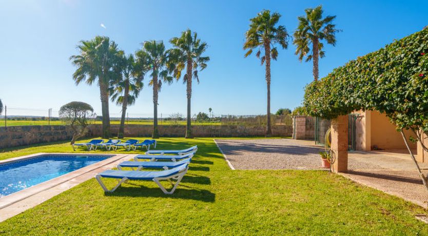 Photo of Es Palmer des Trenc