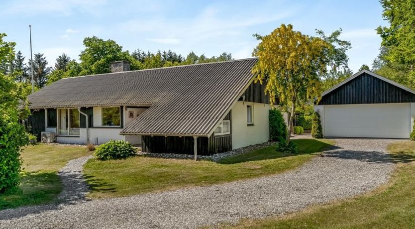 Photo of "Sven" - 250m to the fjord