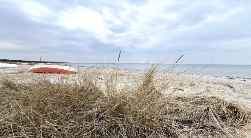 Photo of "Antonina" - 225m from the sea
