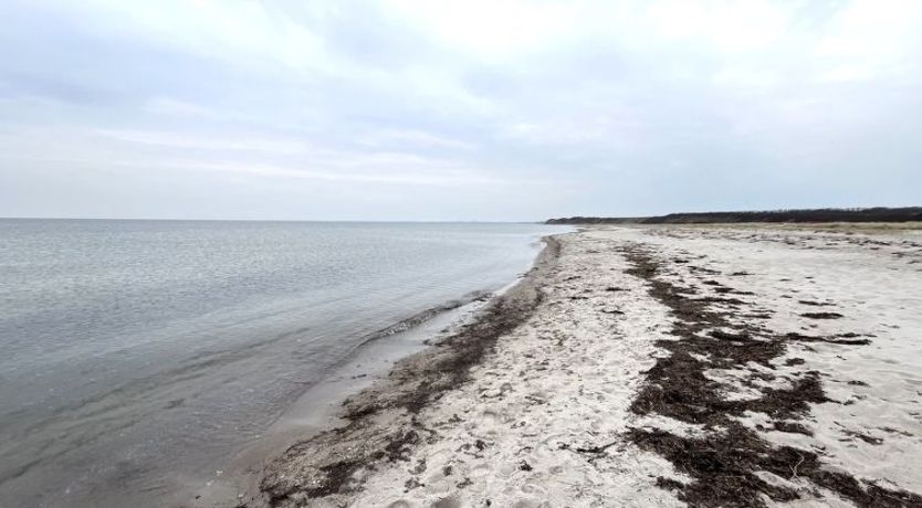 Photo of "Antonina" - 225m from the sea