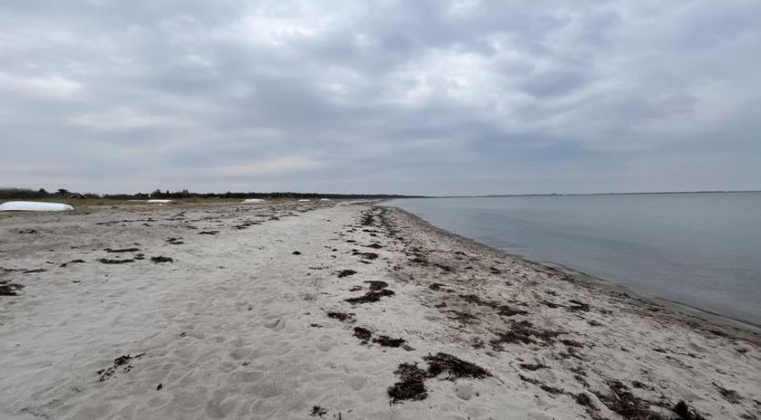 Photo of "Antonina" - 225m from the sea