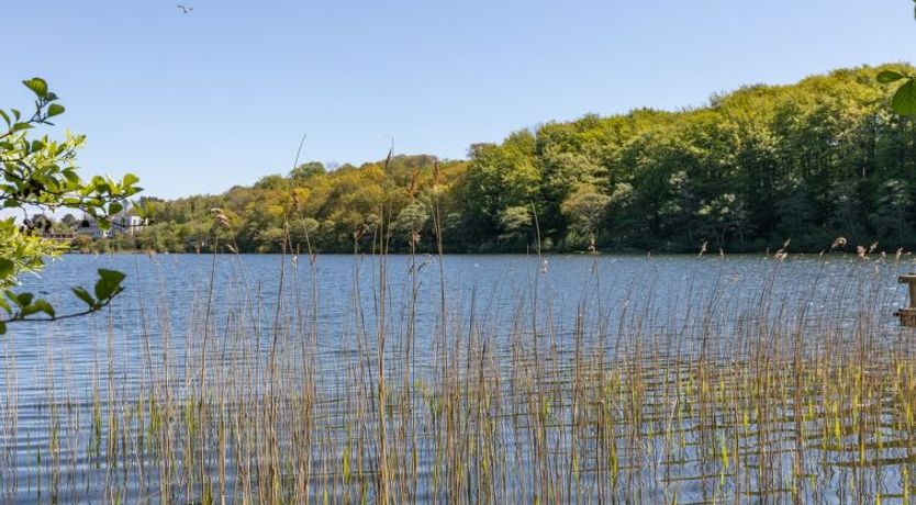 Photo of "Kate" - 300m from the sea