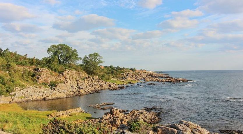 Photo of "Kate" - 300m from the sea