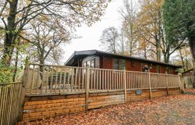 Photo of tree-view-lodge