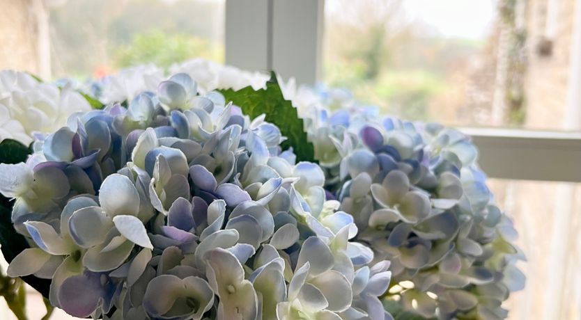 Photo of Meadow View Cottage