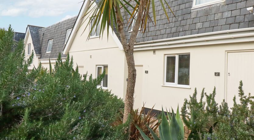 Photo of Catch the Wave