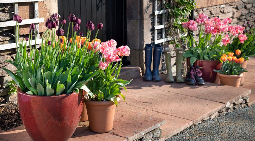 Photo of Bank Barn, Wreay