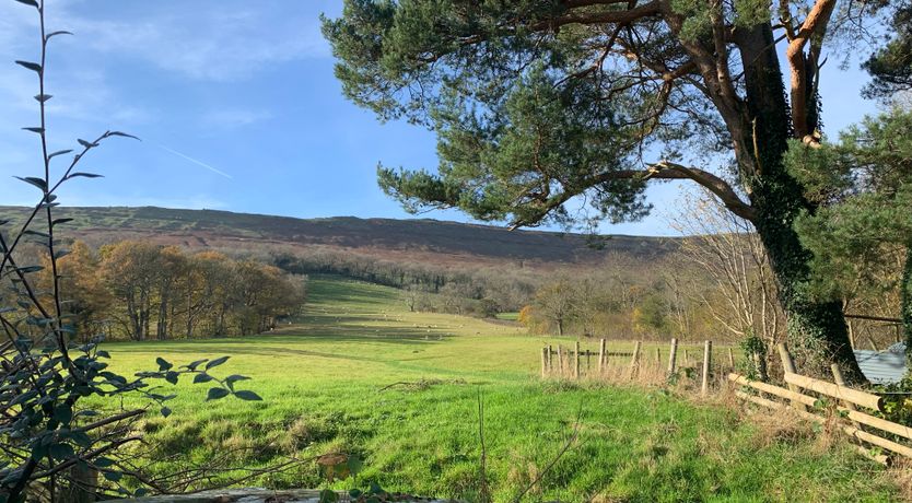 Photo of White Haywood Farmhouse