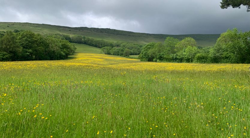 Photo of White Haywood Barn