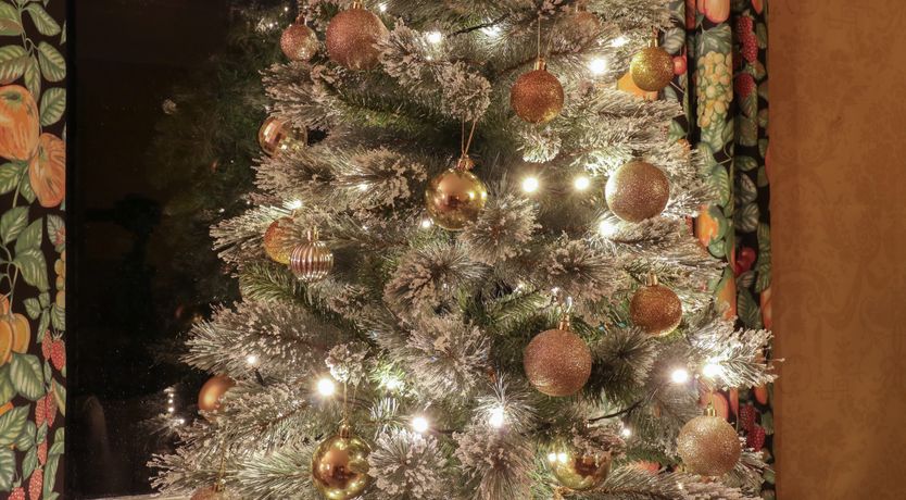 Photo of Rough Hill House