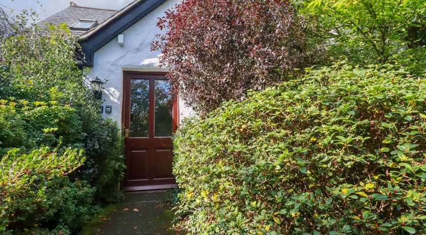 Photo of Clematis - Lodge 16